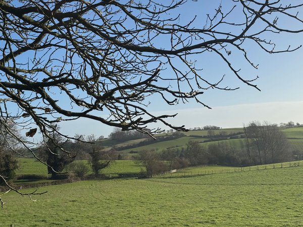 Landscape Photo Size (58).jpg