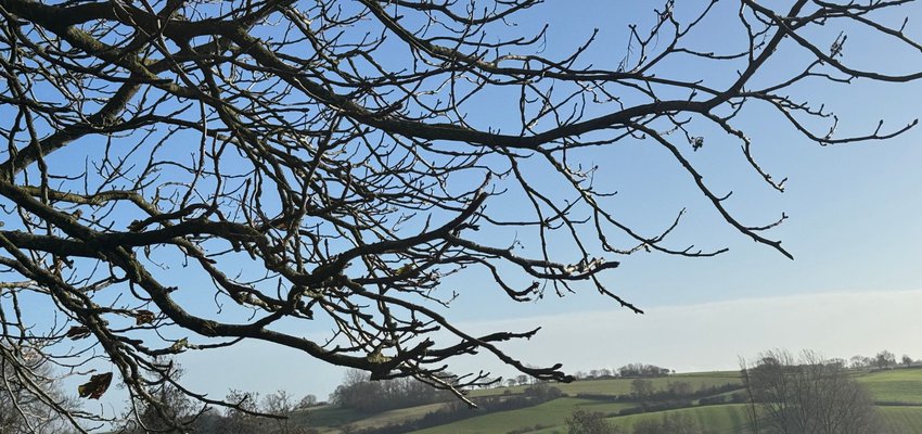 Landscape Photo Size (58).jpg