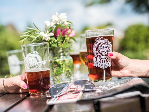Tiger beer garden summer.jpg